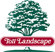 13_landscape.png